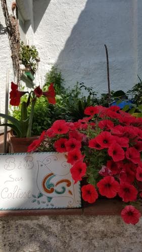 B&B Sas Coltese