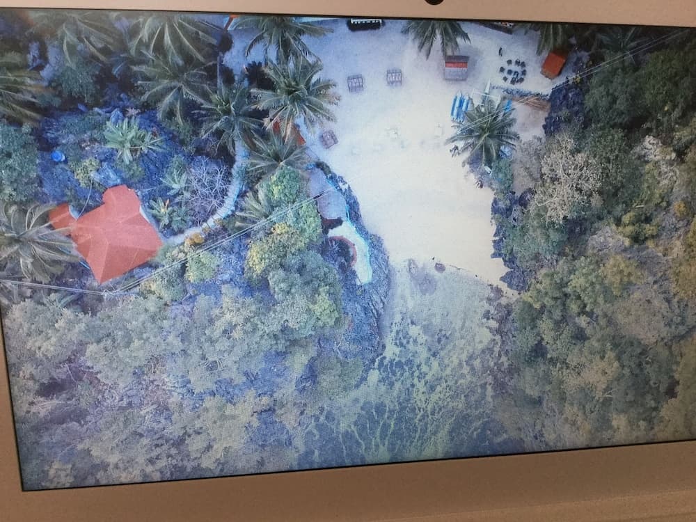 An aerial view captures a serene tropical beach lined with lush greenery, palm trees, and colorful umbrellas, ideal for planning a relaxing vacation getaway.