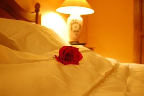 Bucharest Boutique Accommodation