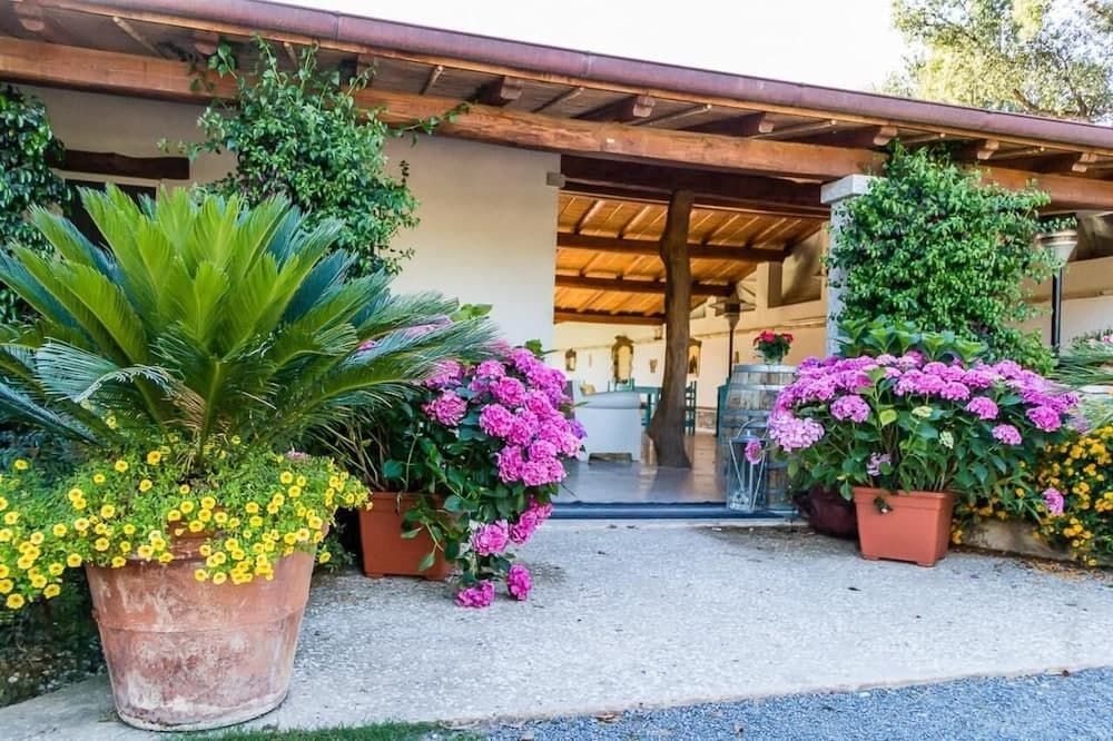 Piccolo Ranch