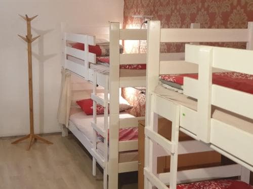 Hedonist Hostel