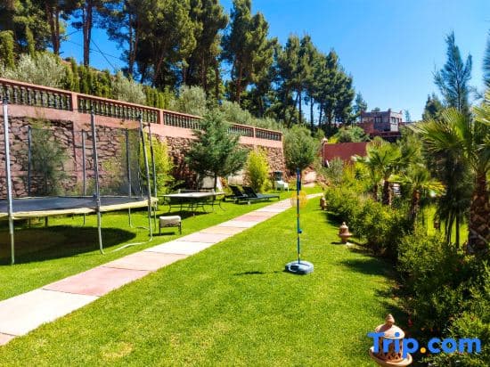 A serene backyard oasis features lush green grass, a trampoline, lounge chairs, and palm trees under a clear blue sky, ideal for family vacations seeking relaxation and outdoor fun.