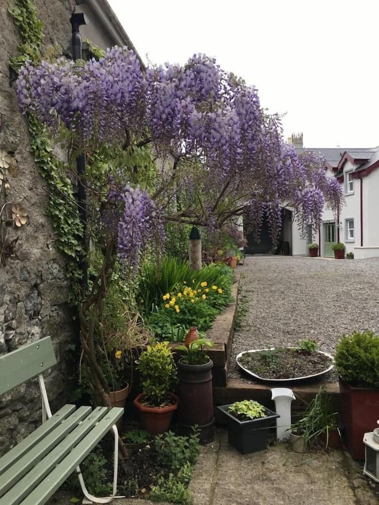 Red Setter Guest House
