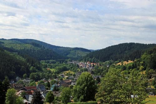 Pension Am Waldesrand