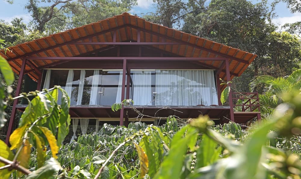 Treebo Trip Jammabane Cottage