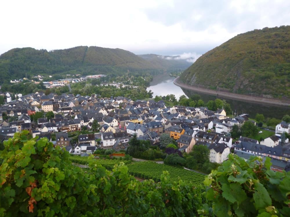 A picturesque European riverside village nestled among lush green hills, featuring quaint houses and vineyards, evokes a serene and charming atmosphere ideal for leisurely travel and wine tasting adventures.