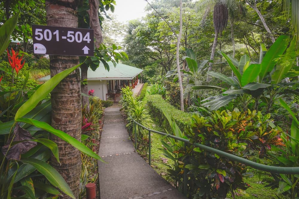 Hotel Cerro Lodge
