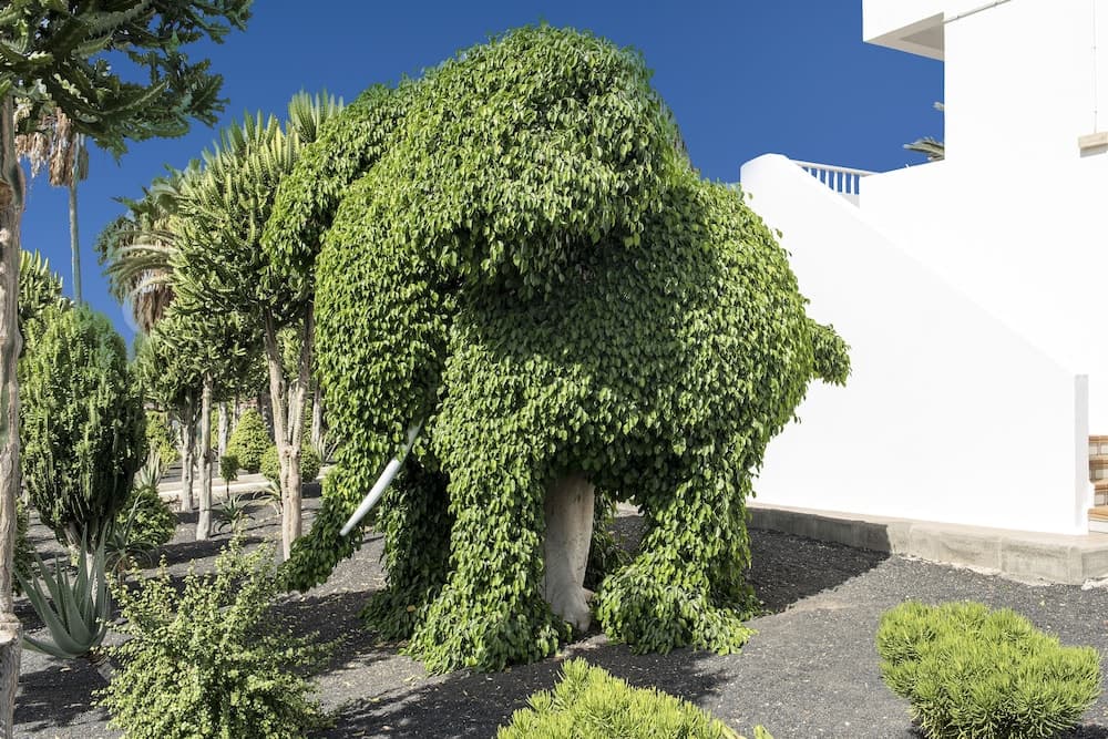 Hotel Floresta