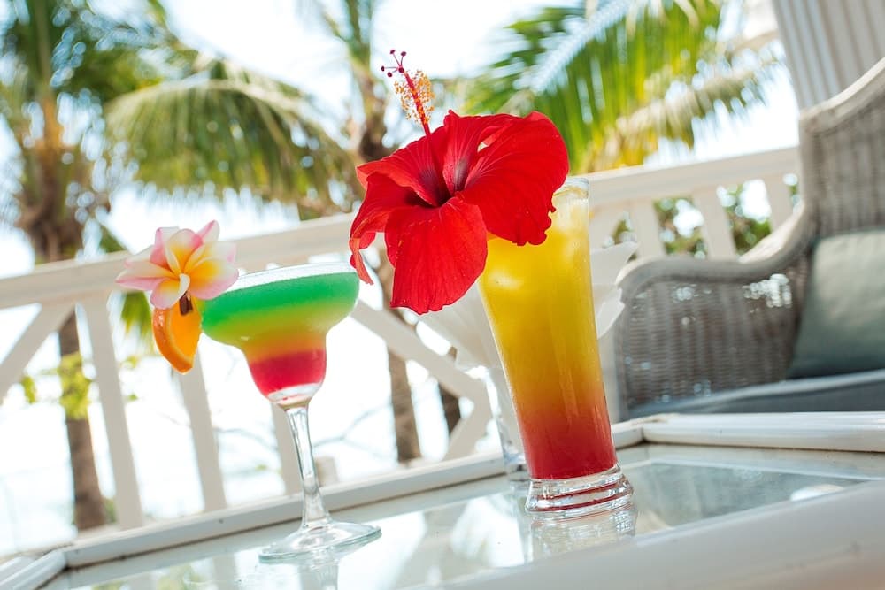 Cocotiers Hotel Rodrigues