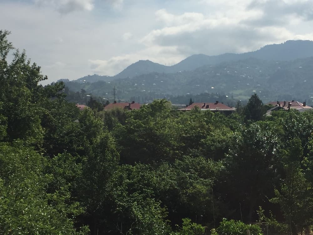 A serene mountain village scene with lush greenery, red-roofed houses nestled among trees, and distant hills under a partly cloudy sky, ideal for tranquil retreats and nature photography.