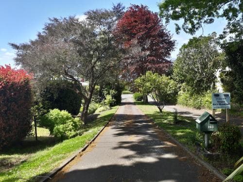 A serene suburban pathway lined with vibrant greenery and colorful trees invites travelers to explore its peaceful ambiance, ideal for leisurely strolls or scenic photography.