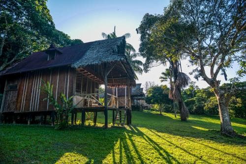 A serene tropical lodge with wooden stilts and a thatched roof sits amidst lush greenery, ideal for eco-tourism and relaxation in a tranquil forest setting.