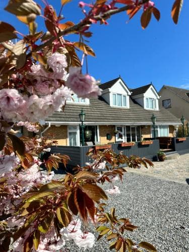 Castle Lodge B&B