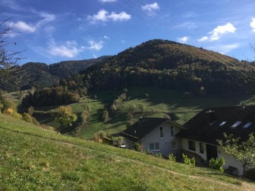 Haus Erika