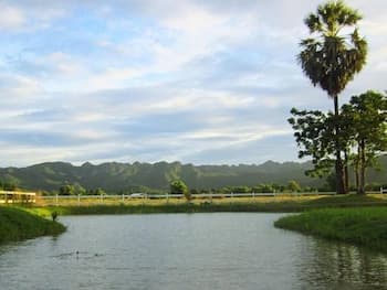 Rest Stop Resort