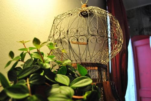 b&b QUATTRO QUERCE
