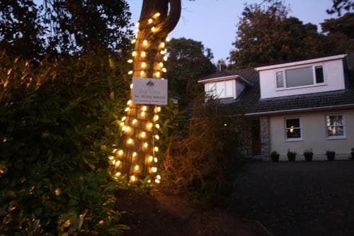 Pine Ridge B&B