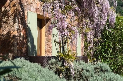 Domaine Codaleone