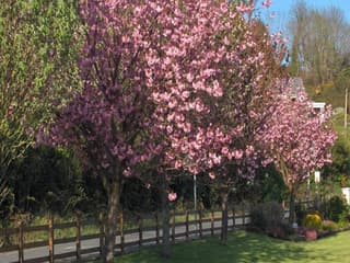 Cherrybrook B&B