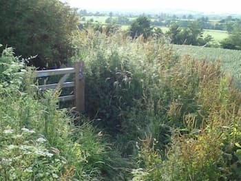 The Steppes B&B