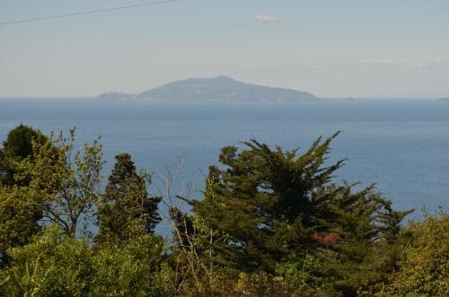 Alle Ginestre B&B