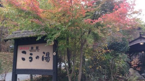 Kono-yu