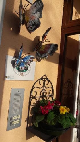 Il Sole