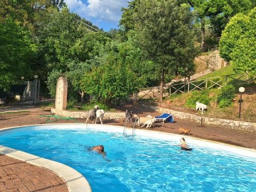SetterHouseAgriHotel