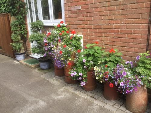 Albertine Bed And Breakfast