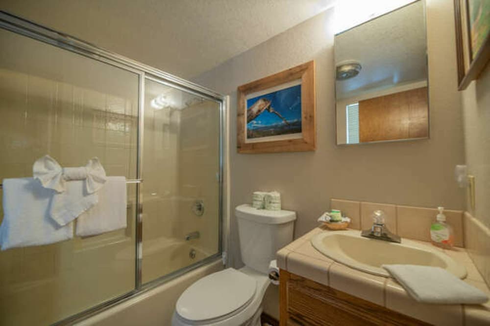 Switzerland - Cozy cabin set among the fragrant pine trees with peekaboo views of both ski resorts!