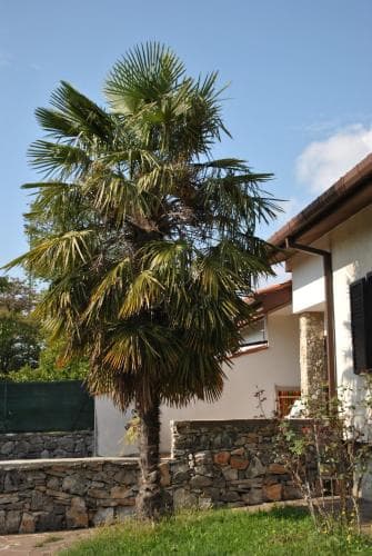 b&b QUATTRO QUERCE