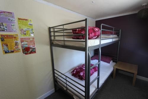 A cozy hostel room features bunk beds with pink bedding against a vibrant purple wall, ideal for budget travelers seeking a comfortable and social stay.