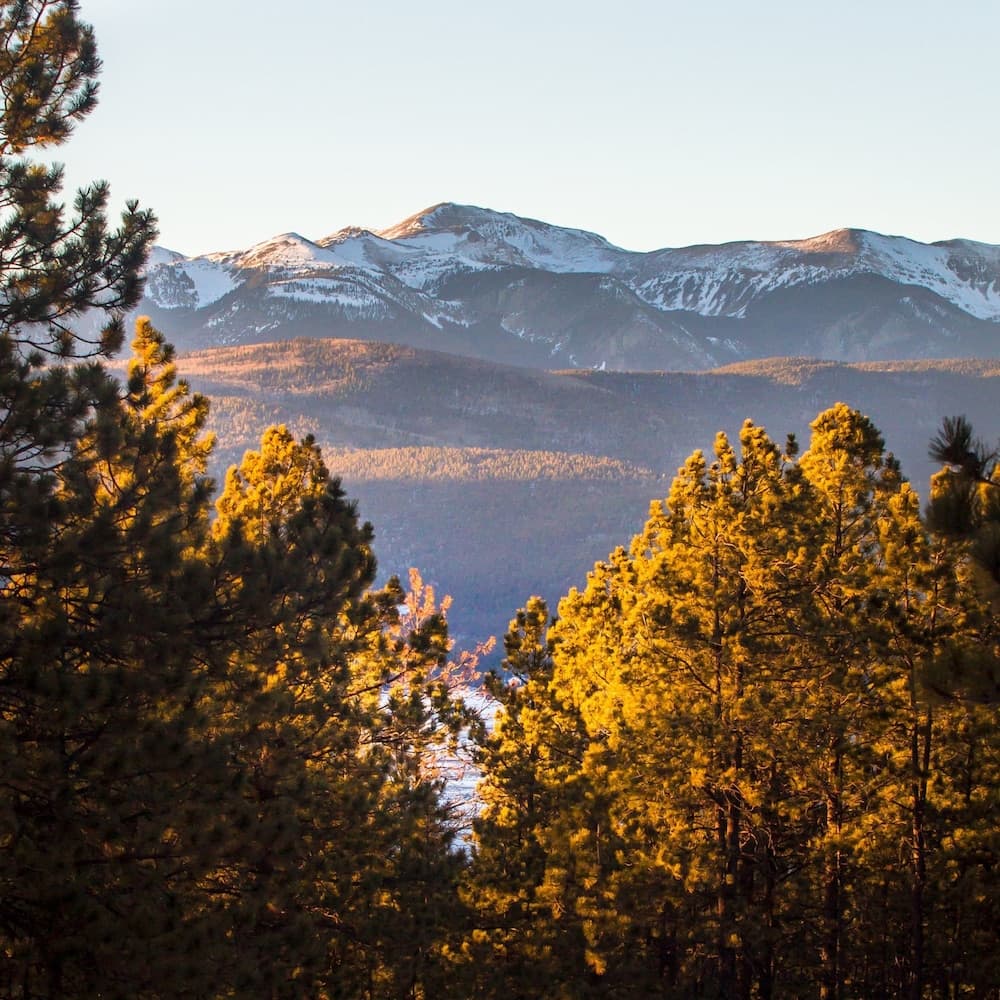 A serene mountain landscape with snow-capped peaks and golden pine trees bathed in sunlight, ideal for nature photography and outdoor adventure enthusiasts.