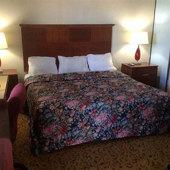 Colt Motel Raton