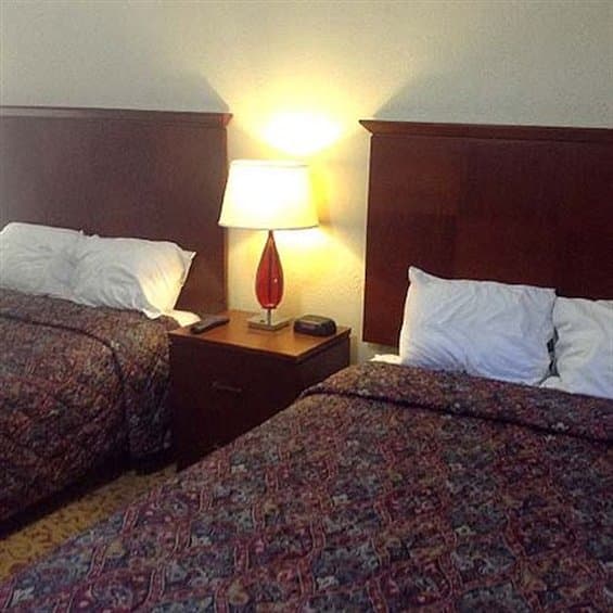 Colt Motel Raton