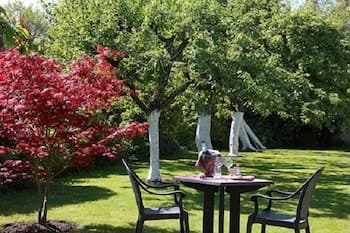 A serene garden scene features a cozy table set for two under lush greenery, with vibrant red foliage adding color, ideal for a romantic getaway or tranquil afternoon tea.