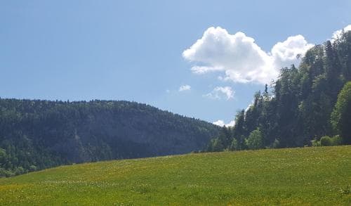 Ferienwohnung Lohnerlehen