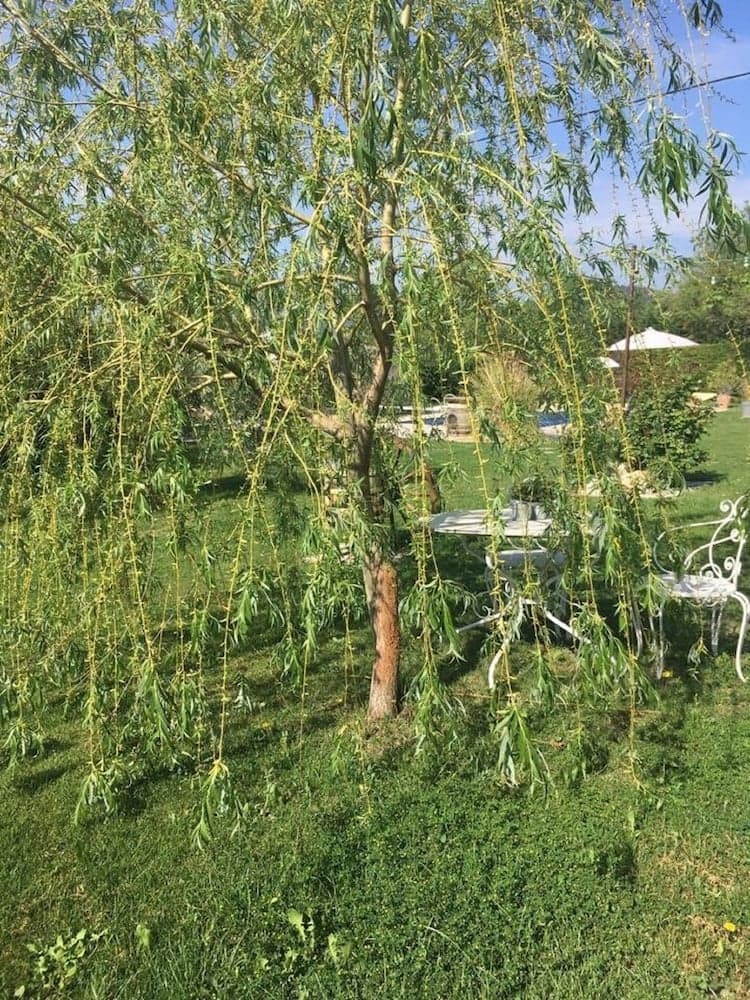 La Vignarelle