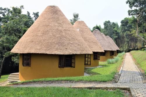 Kibale Guest Cottages