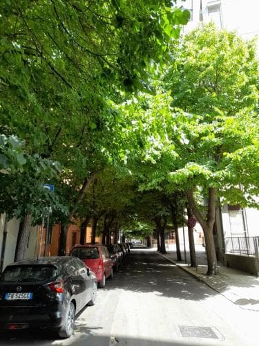 B&B Dei Tigli