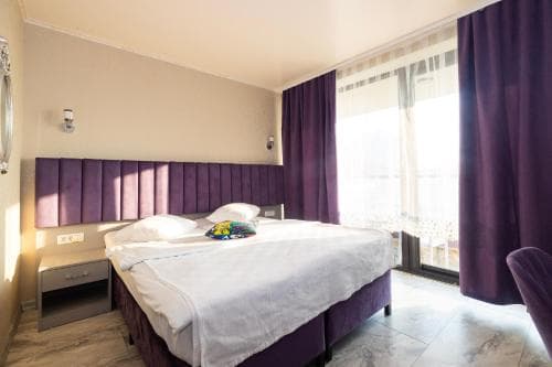 Hotel Merty