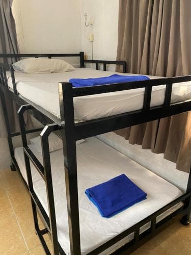Eighty8 Backpackers Hostel