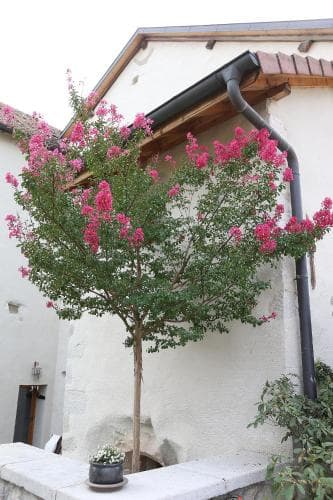 Le Manoir