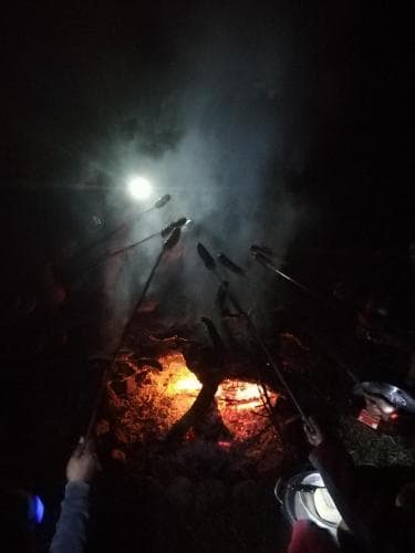Kutimuy