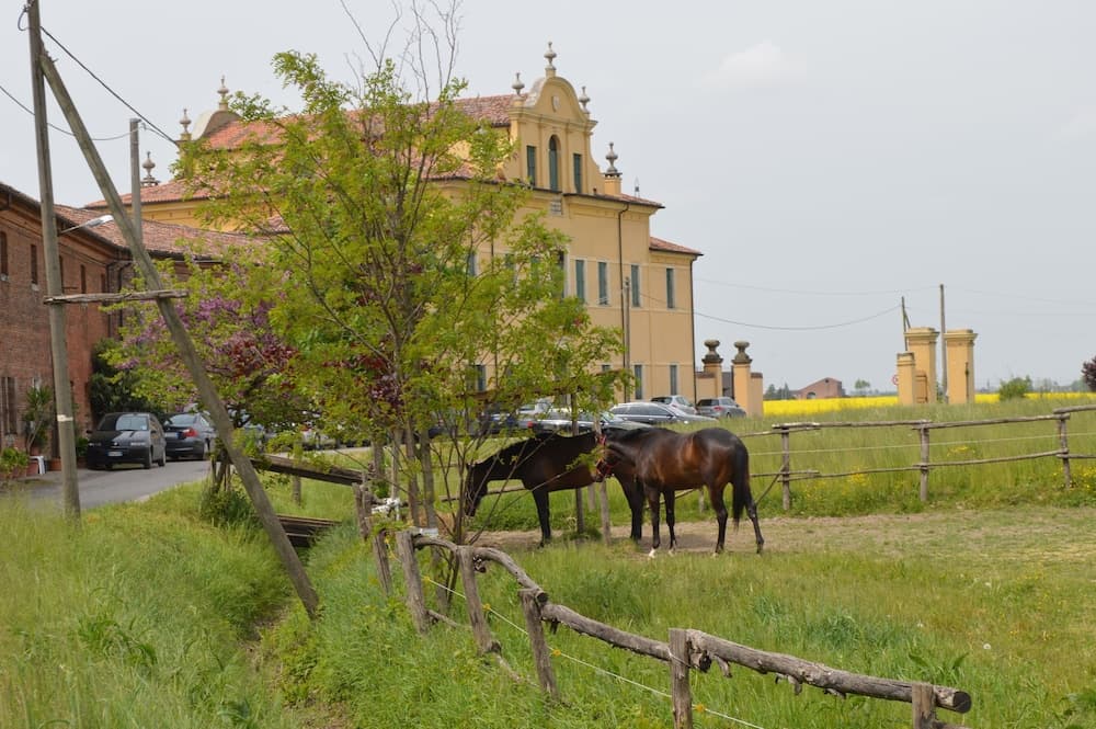 B&B Ca' Gialla