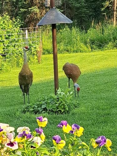 Southern Bluff Bed & Breakfast