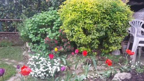 B&B Il Patio
