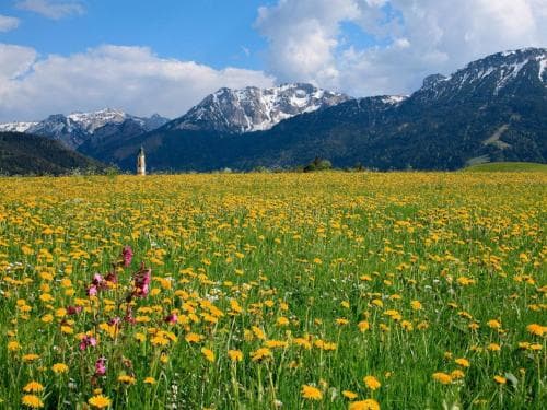 ALPENGARTEN am Breitenberg