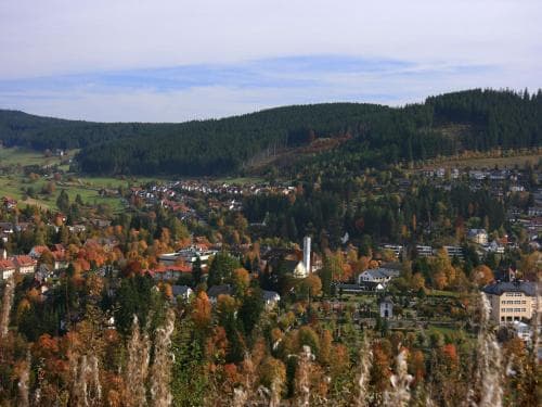 Ferienwohnung am Eisweiher