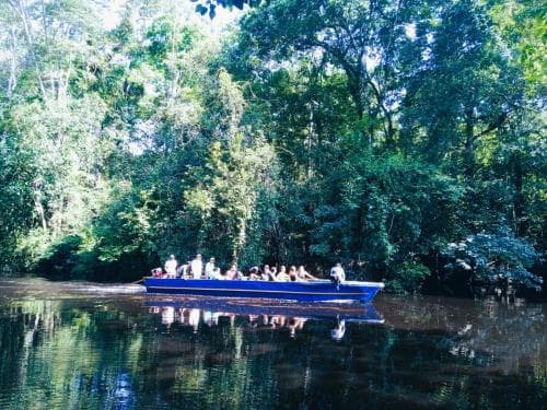A serene river cruise through lush tropical rainforest offers travelers an immersive nature experience with a vibrant blue boat reflecting on calm waters, ideal for eco-tourism adventures.